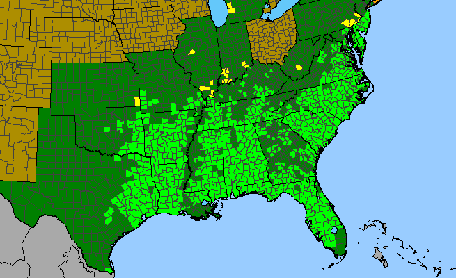 The range of Rhexia mariana var. mariana